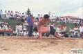 진천군민 씨름대회(1989년) 썸네일 이미지