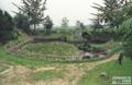 이월초등학교 연못 썸네일 이미지
