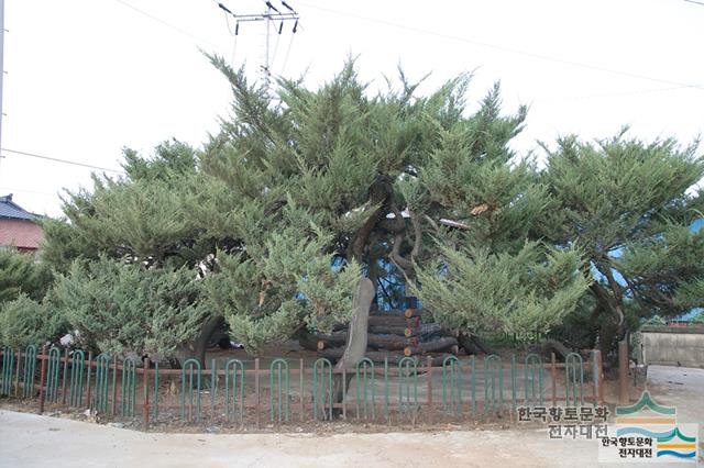 대표시청각 이미지