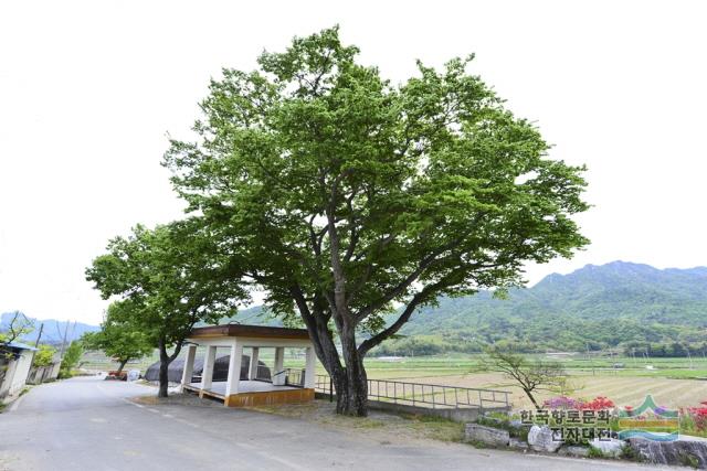 대표시청각 이미지